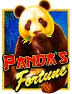 puss888 โหลดทดลอง เล่น เกม cash or crash สุดมันส์