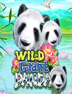 puss888 โหลดทดลอง เล่น เกม cash or crash สนุกสุดมัน